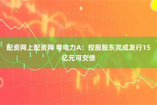 配资网上配资网 粤电力A：控股股东完成发行15亿元可交债