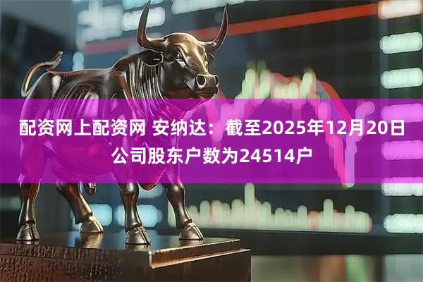 配资网上配资网 安纳达：截至2025年12月20日公司股东户数为24514户