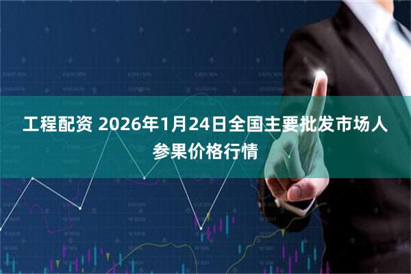 工程配资 2026年1月24日全国主要批发市场人参果价格行情