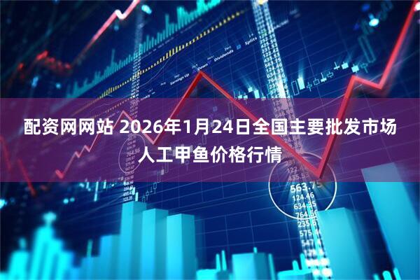 配资网网站 2026年1月24日全国主要批发市场人工甲鱼价格行情